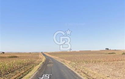 Kurtbeyde Değerli Tarla Payı