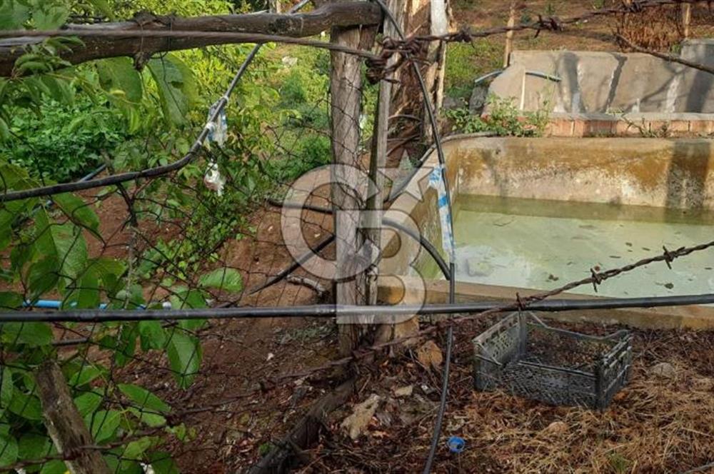 Çan Doğaca Satılık Bahçe