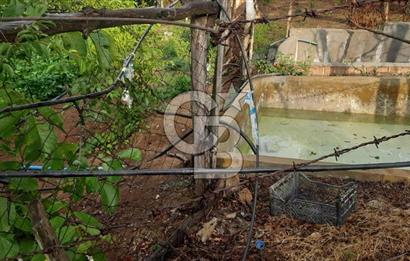 Çan Doğaca Satılık Bahçe