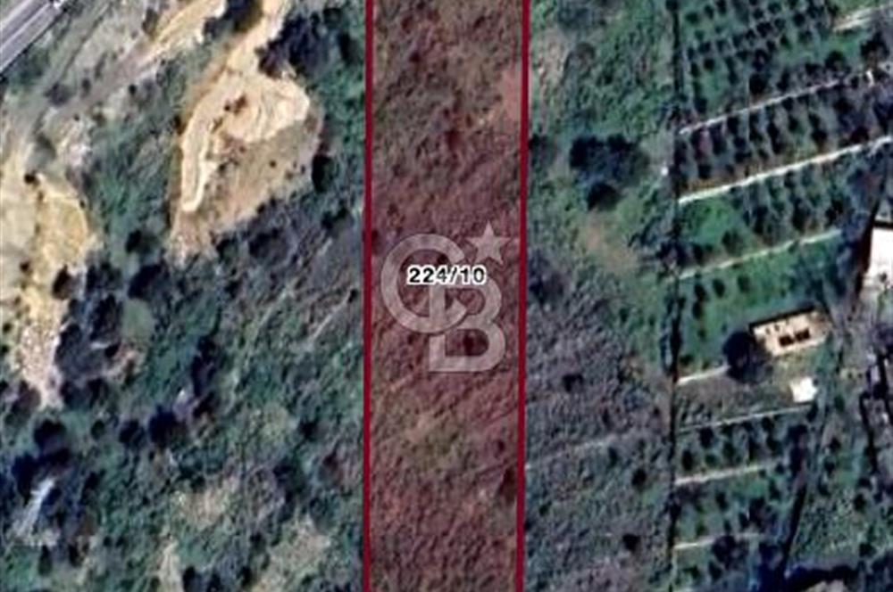 BODRUM CADDESİNE CEPHE MÜKEMMEL KONUMDA 5000 M2