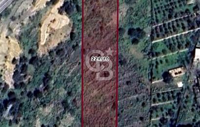 Bodrum Dağbelen'de Ana Yola Cepheli 5000m² Kiralık Arsa