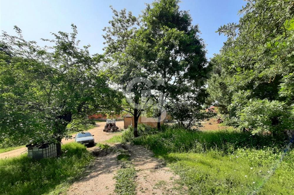 ÇANAKKALE BİGA KURUOBA KÖYÜNDE 342 m² SATILIK ARSA