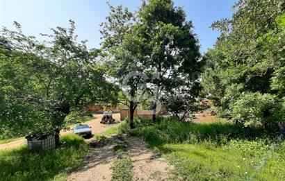 ÇANAKKALE BİGA KURUOBA KÖYÜNDE 342 m² SATILIK ARSA