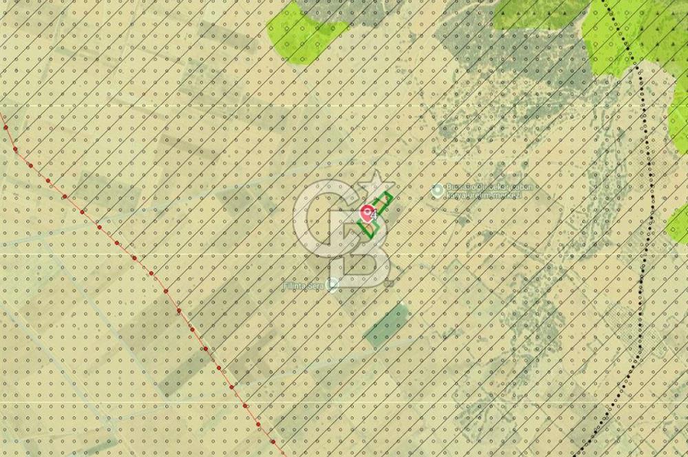 Denizli Serinhisar Cumhuriyet Mahallesinde 5.485 M² Satılık Tarla