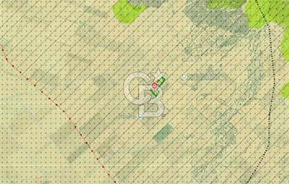 Denizli Serinhisar Cumhuriyet Mahallesinde 5.485 M² Satılık Tarla