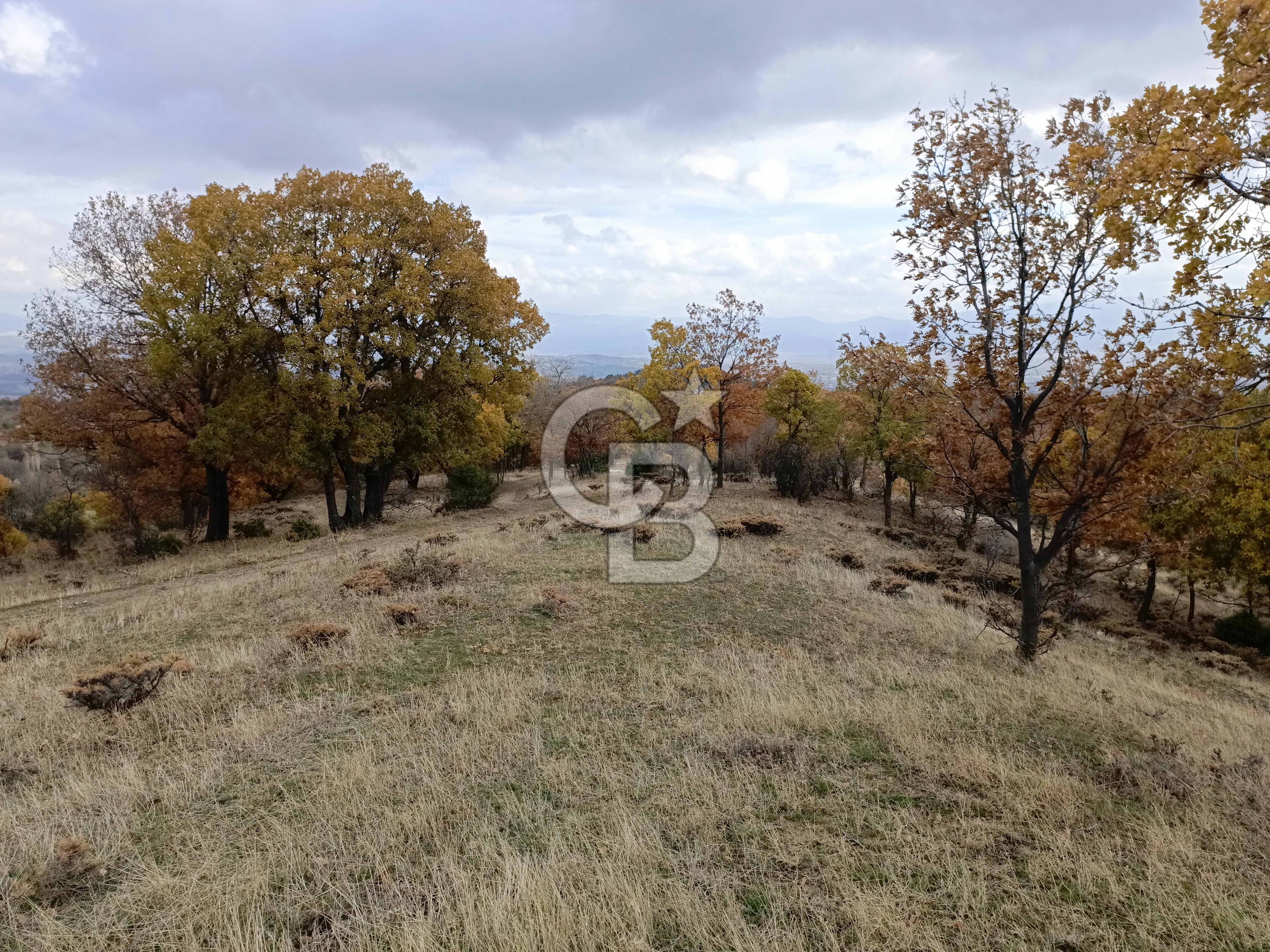 AFYON'DA 12.000 M2 MARJİNAL TARİM ARAZİSİ