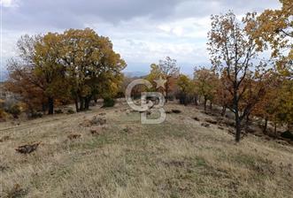 AFYON'DA 12.000 M2 MARJİNAL TARİM ARAZİSİ - 6 - 341192