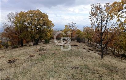 AFYON'DA 12.000 M2 MARJİNAL TARİM ARAZİSİ