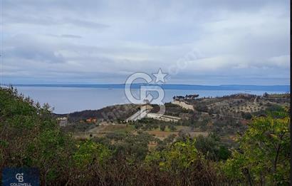 ÇANAKKALE'DE DOĞA İÇİNDE FULL BOĞAZ MANZARALI SATILIK 5+2 VİLLA