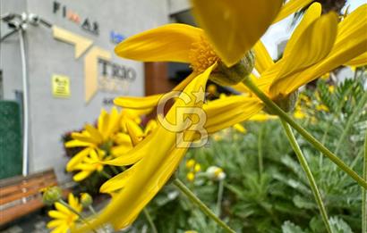 BORNOVA YEŞİLOVA'DA TRIO SKY SİTESİ'NDE SATILIK 3+1 DAİRE!