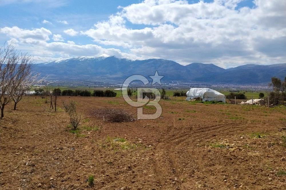 Denizli Serinhisar Cumhuriyet Mahallesinde 5.485 M² Satılık Tarla