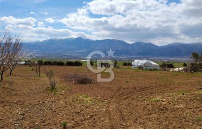 Denizli Serinhisar Cumhuriyet Mahallesinde 5.485 M² Satılık Tarla