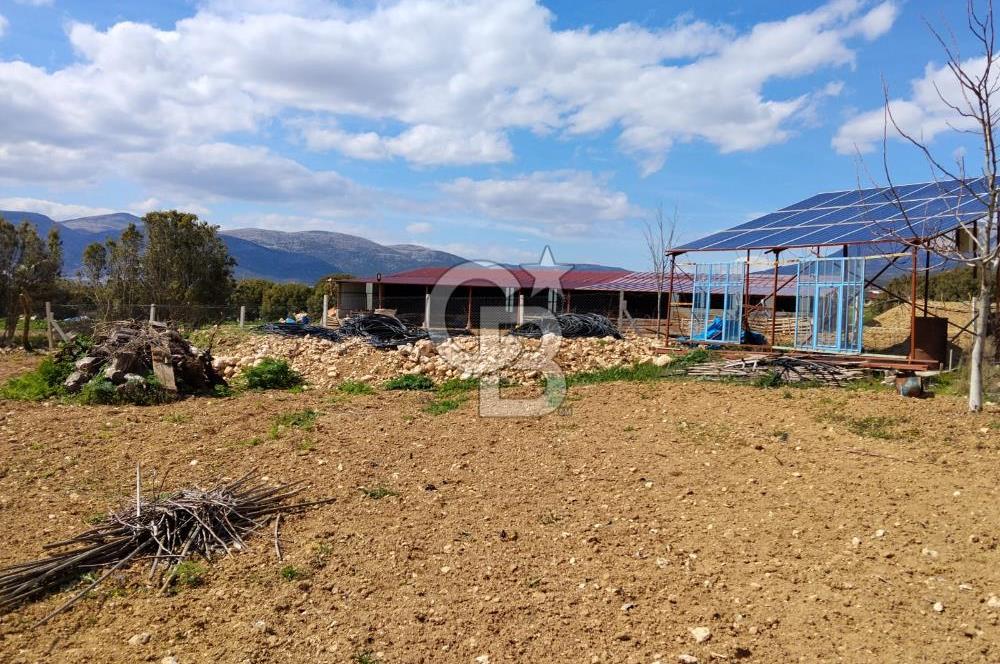 Denizli Serinhisar Cumhuriyet Mahallesinde 5.485 M² Satılık Tarla