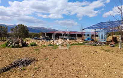 Denizli Serinhisar Cumhuriyet Mahallesinde 5.485 M² Satılık Tarla