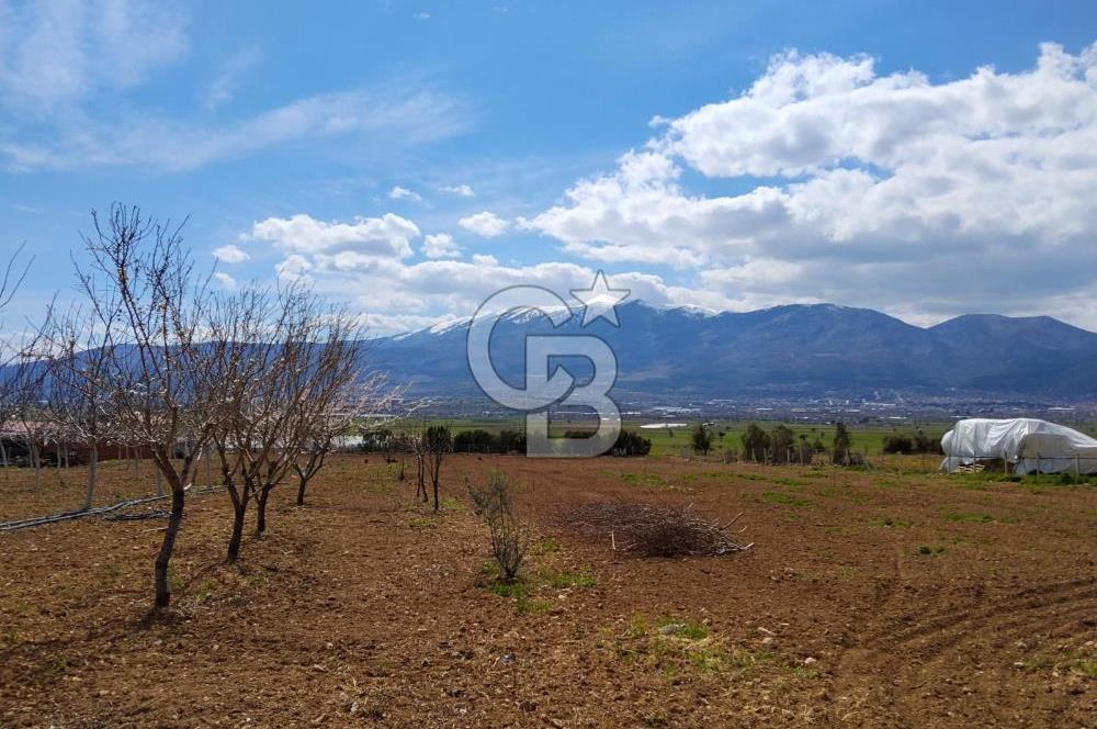 Denizli Serinhisar Cumhuriyet Mahallesinde 5.485 M² Satılık Tarla