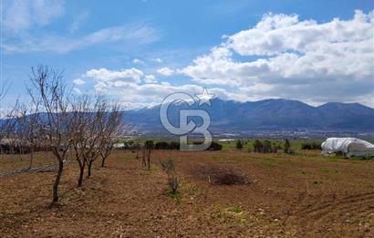 Denizli Serinhisar Cumhuriyet Mahallesinde 5.485 M² Satılık Tarla