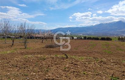 Denizli Serinhisar Cumhuriyet Mahallesinde 5.485 M² Satılık Tarla