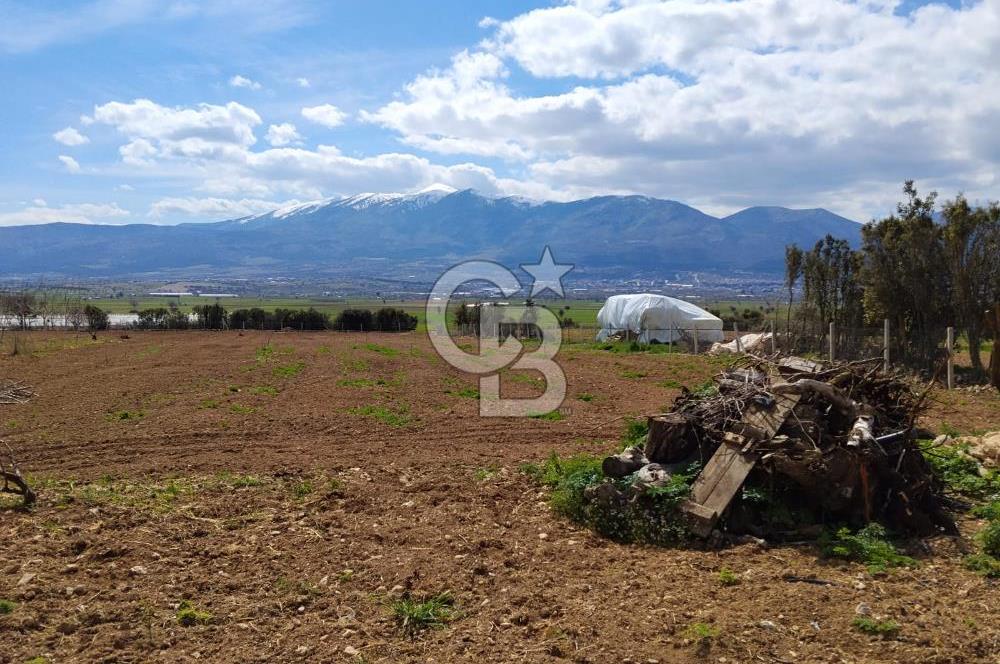 Denizli Serinhisar Cumhuriyet Mahallesinde 5.485 M² Satılık Tarla