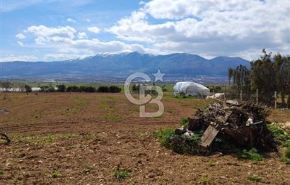 Denizli Serinhisar Cumhuriyet Mahallesinde 5.485 M² Satılık Tarla