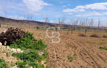 Denizli Serinhisar Cumhuriyet Mahallesinde 5.485 M² Satılık Tarla