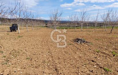 Denizli Serinhisar Cumhuriyet Mahallesinde 5.485 M² Satılık Tarla