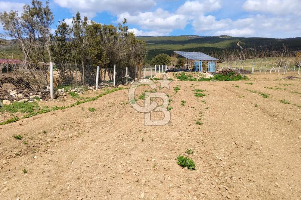 Denizli Serinhisar Cumhuriyet Mahallesinde 5.485 M² Satılık Tarla