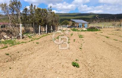 Denizli Serinhisar Cumhuriyet Mahallesinde 5.485 M² Satılık Tarla