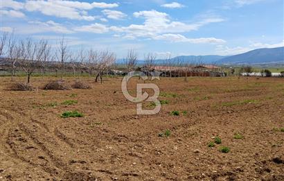 Denizli Serinhisar Cumhuriyet Mahallesinde 5.485 M² Satılık Tarla