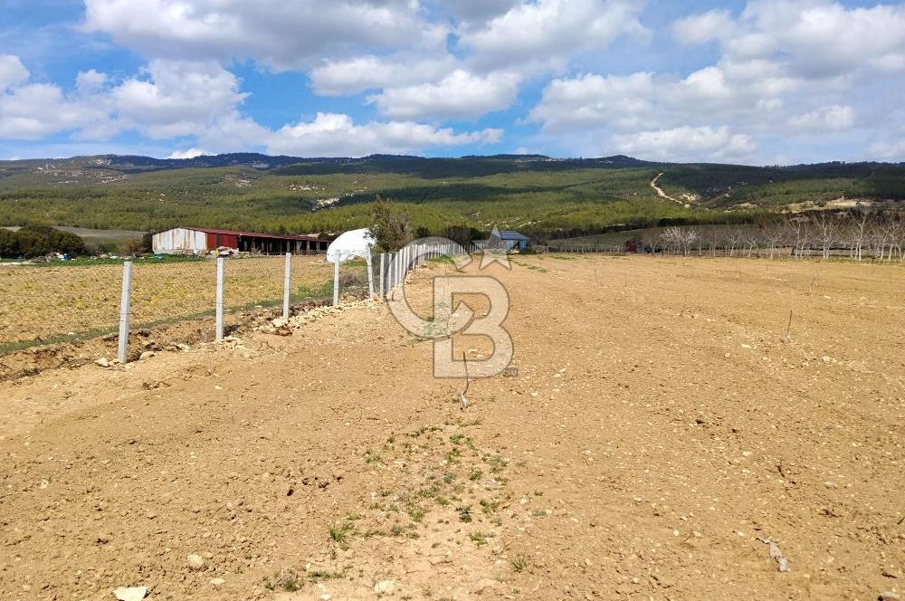 Denizli Serinhisar Cumhuriyet Mahallesinde 5.485 M² Satılık Tarla