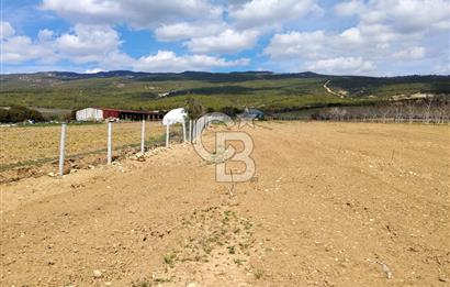 Denizli Serinhisar Cumhuriyet Mahallesinde 5.485 M² Satılık Tarla