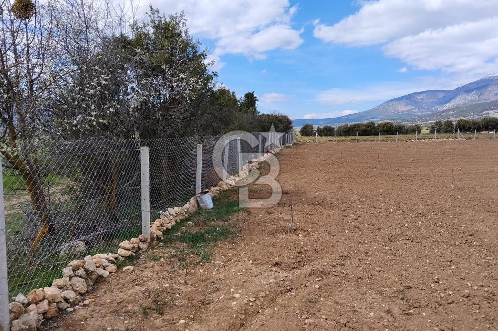 Denizli Serinhisar Cumhuriyet Mahallesinde 5.485 M² Satılık Tarla