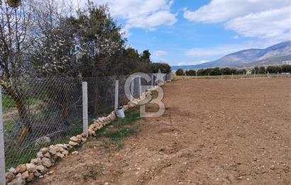 Denizli Serinhisar Cumhuriyet Mahallesinde 5.485 M² Satılık Tarla