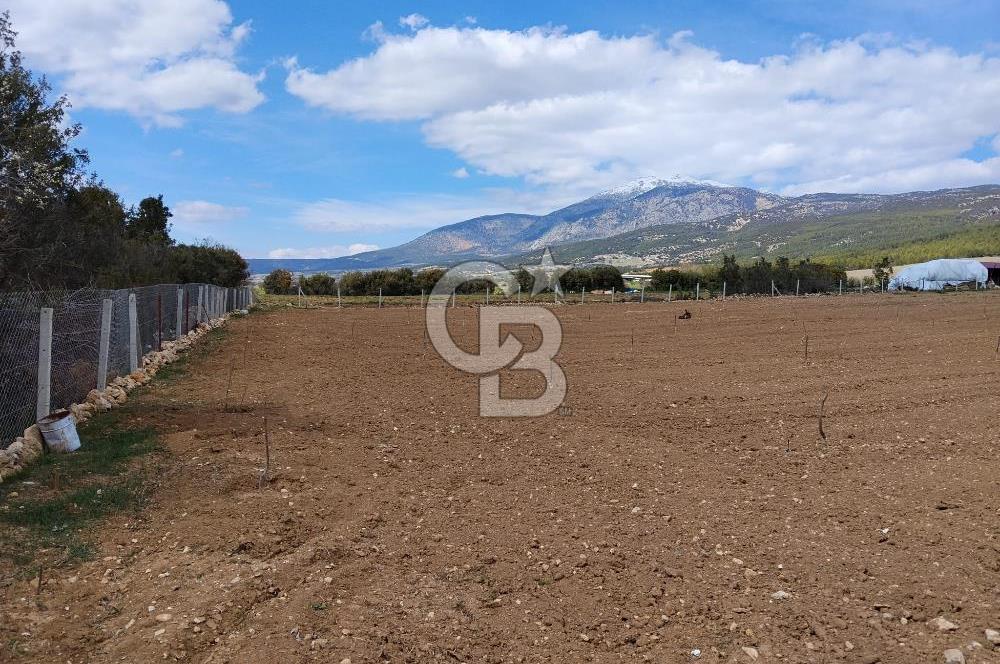 Denizli Serinhisar Cumhuriyet Mahallesinde 5.485 M² Satılık Tarla