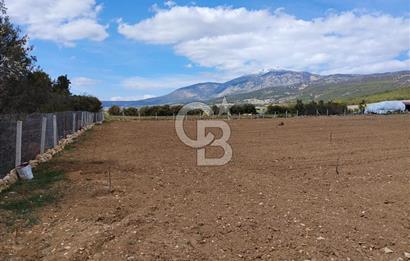 Denizli Serinhisar Cumhuriyet Mahallesinde 5.485 M² Satılık Tarla