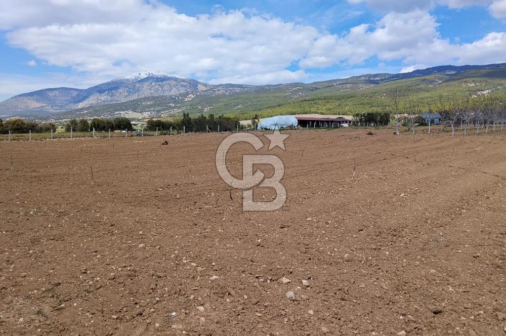 Denizli Serinhisar Cumhuriyet Mahallesinde 5.485 M² Satılık Tarla