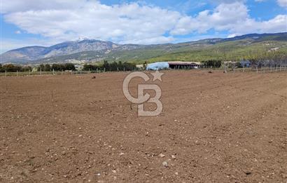 Denizli Serinhisar Cumhuriyet Mahallesinde 5.485 M² Satılık Tarla