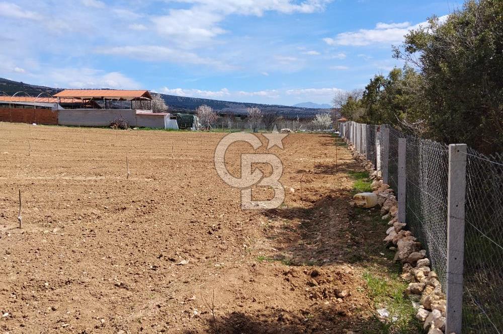 Denizli Serinhisar Cumhuriyet Mahallesinde 5.485 M² Satılık Tarla