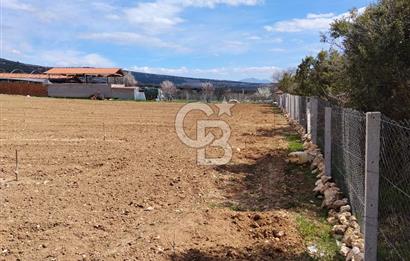 Denizli Serinhisar Cumhuriyet Mahallesinde 5.485 M² Satılık Tarla