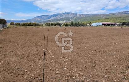 Denizli Serinhisar Cumhuriyet Mahallesinde 5.485 M² Satılık Tarla