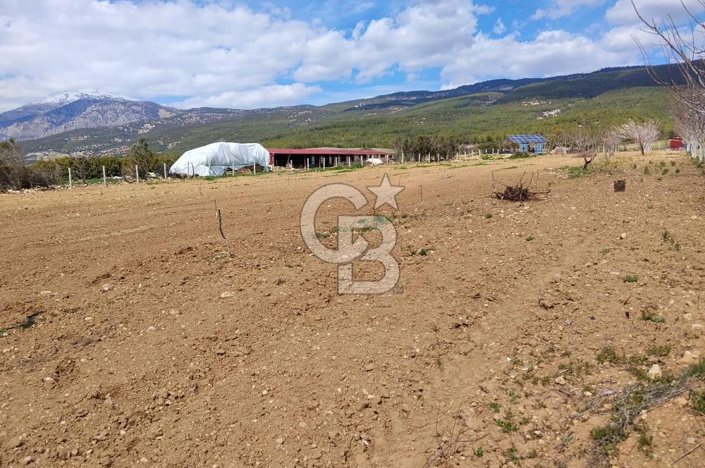 Denizli Serinhisar Cumhuriyet Mahallesinde 5.485 M² Satılık Tarla