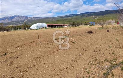 Denizli Serinhisar Cumhuriyet Mahallesinde 5.485 M² Satılık Tarla