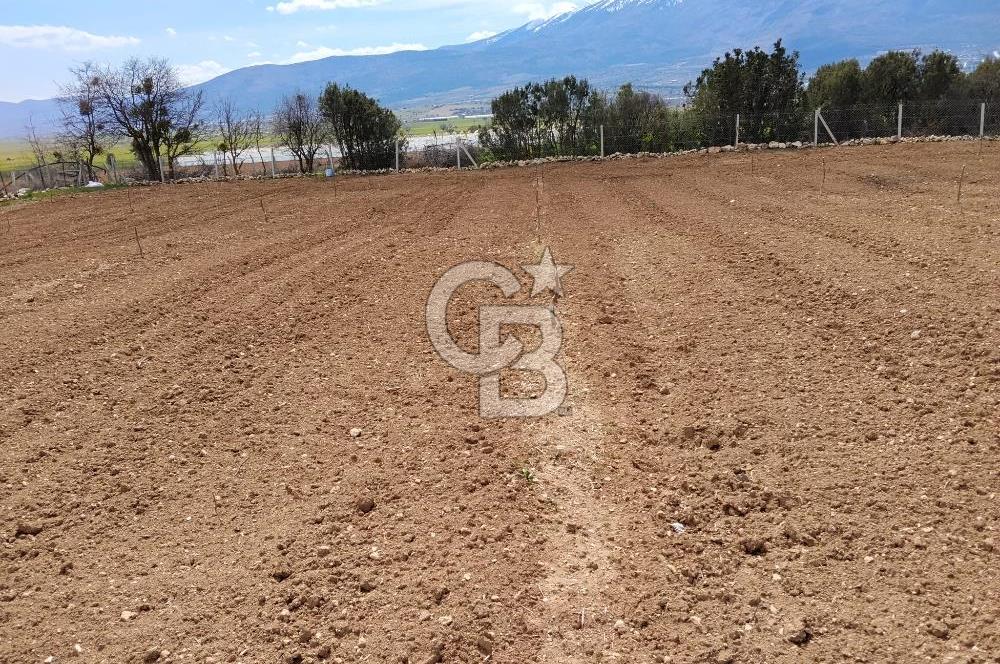 Denizli Serinhisar Cumhuriyet Mahallesinde 5.485 M² Satılık Tarla