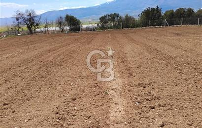 Denizli Serinhisar Cumhuriyet Mahallesinde 5.485 M² Satılık Tarla