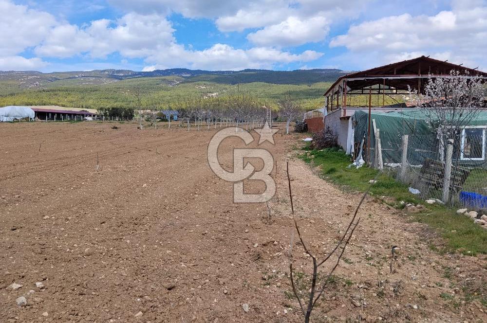 Denizli Serinhisar Cumhuriyet Mahallesinde 5.485 M² Satılık Tarla