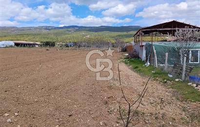 Denizli Serinhisar Cumhuriyet Mahallesinde 5.485 M² Satılık Tarla