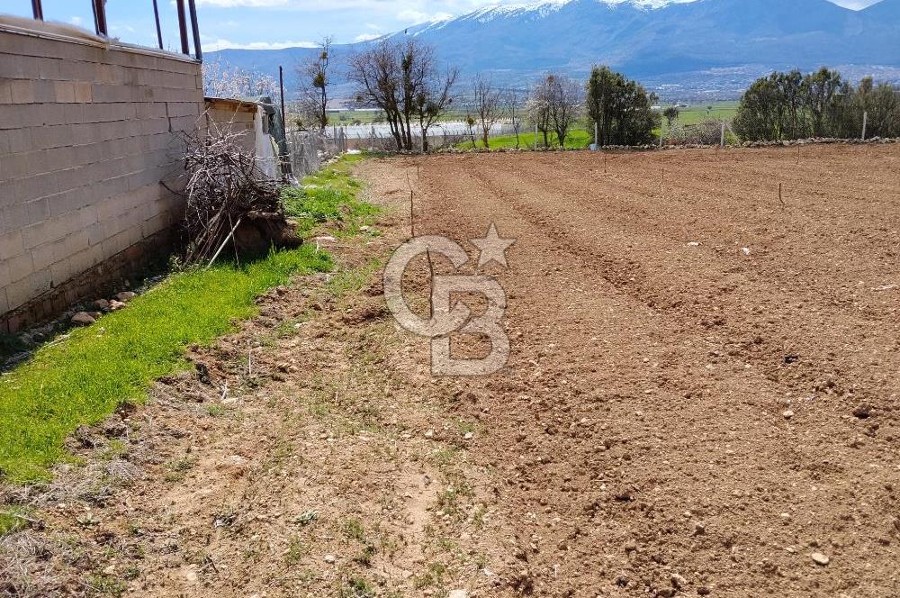 Denizli Serinhisar Cumhuriyet Mahallesinde 5.485 M² Satılık Tarla