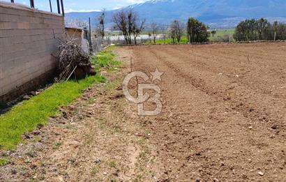 Denizli Serinhisar Cumhuriyet Mahallesinde 5.485 M² Satılık Tarla