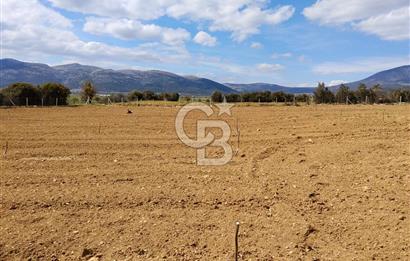 Denizli Serinhisar Cumhuriyet Mahallesinde 5.485 M² Satılık Tarla