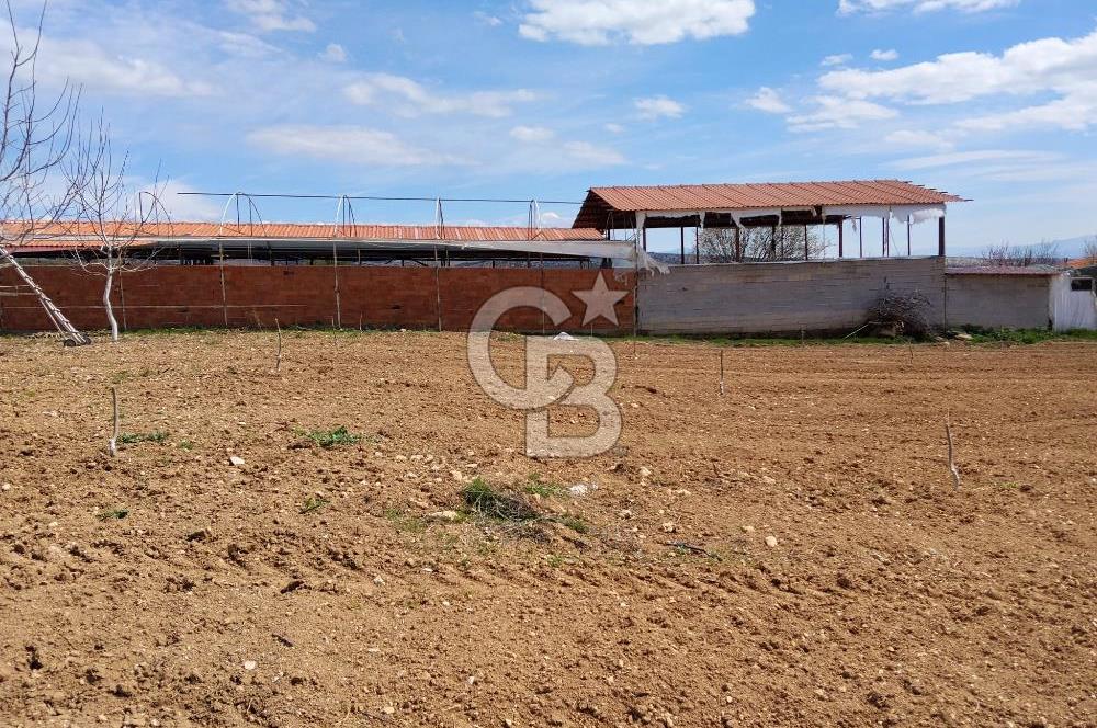 Denizli Serinhisar Cumhuriyet Mahallesinde 5.485 M² Satılık Tarla