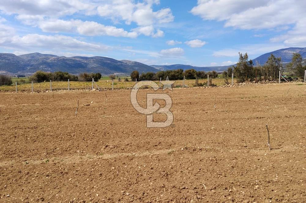 Denizli Serinhisar Cumhuriyet Mahallesinde 5.485 M² Satılık Tarla